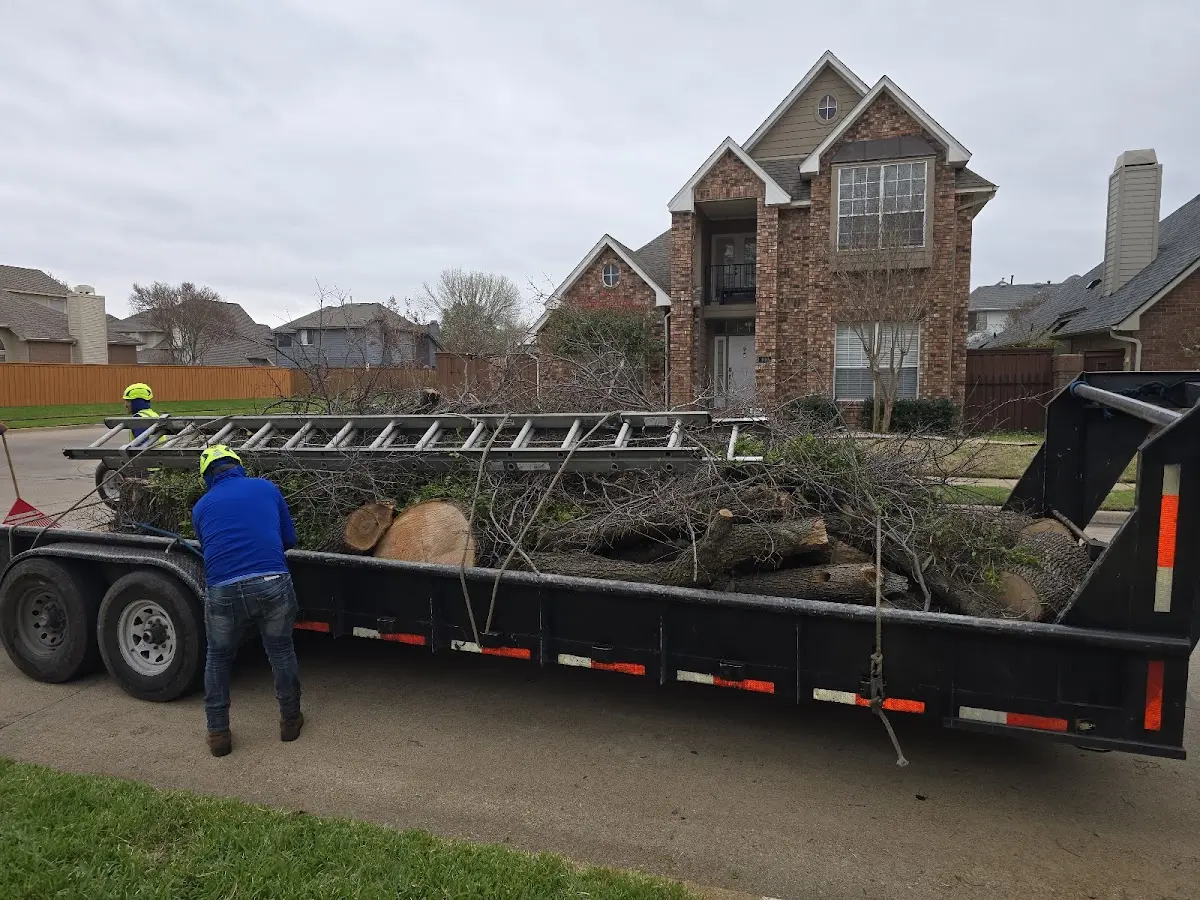 Expert Lot Clearing with proper safety equipment in Jonancy
